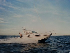 Купить 1991 Boston Whaler 31