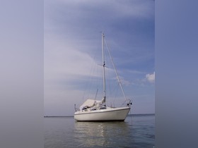 1993 Rethana 25