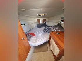 Buy 2010 Rinker 276