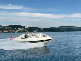 Buy 2009 Stingray 25 Ls