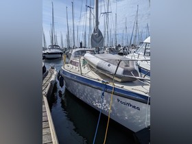 Buy 1981 Etap 28