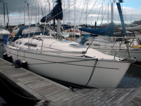 Moody S31