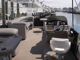 Kjøpe 2013 Premier (pontoons) 250 Solaris