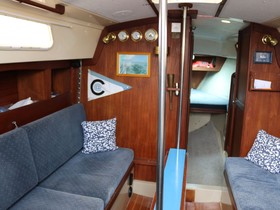Acheter 1979 Cal 31