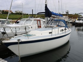 1979 Cal 31