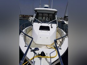 1994 Bayliner Trophy