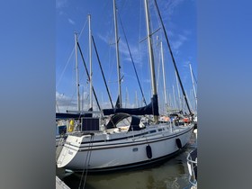 Contest Yachts / Conyplex 34
