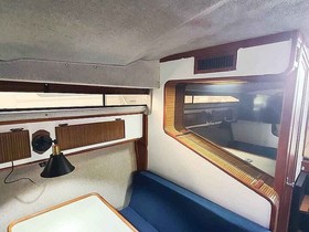 Buy 1983 Sea Ray 340 Express Cruiser