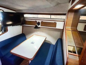 1983 Sea Ray 340 Express Cruiser for sale