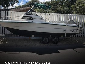 Angler Boat Corporation 220 Wa