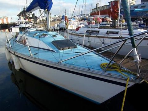 1980 Seal 26