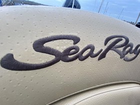 2019 Sea Ray Boats 190 Spx