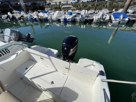 2019 Quicksilver Boats Activ 555 in vendita