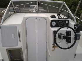 1998 Campion Explorer 622 Wa Outboard til salg