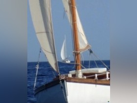 Passera Istriana