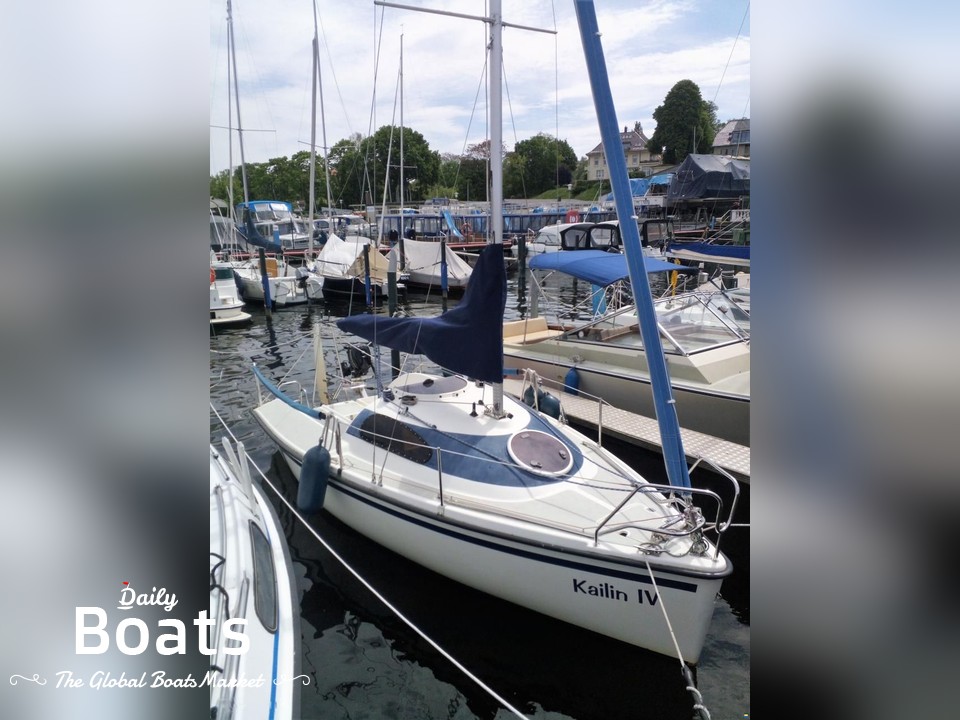 Weyer 510 for sale in Europe - Daily Boats