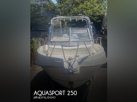 Aquasport 245 Explorer