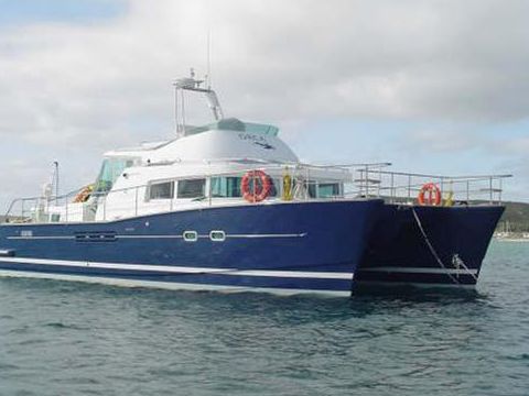 Lagoon Power 43