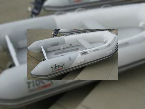 Ribeye 280 Ts