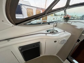 Купить Sea Ray 335 Sundancer