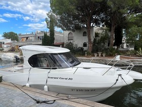 Scarani Coral 30