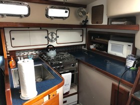 Buy 1989 Morgan Center Cockpit