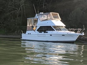 Bayliner 4087 Cpmy