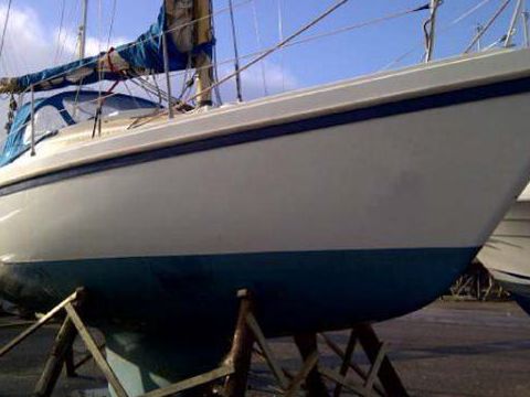 1980 Seamaster 815