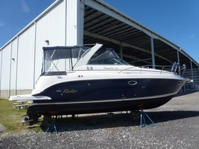 Rinker Fiesta Vee 300