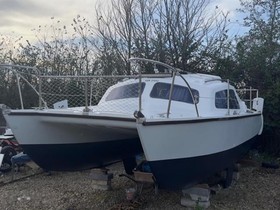 1970 Hirondelle Catamaran satın almak