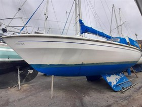 Buy 1981 Westerly Discus