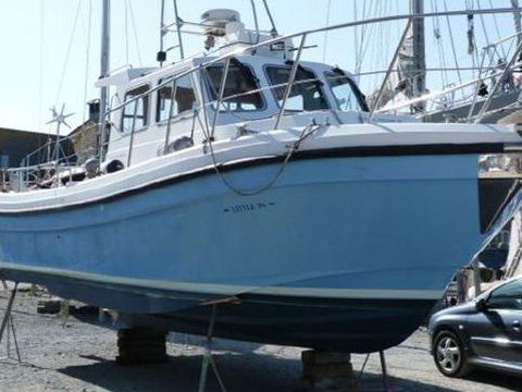 Cygnus Marine Cyclone 30