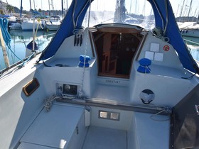 Acheter 1982 Everit 29