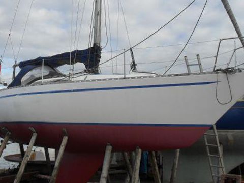 Colvic Ufo 31