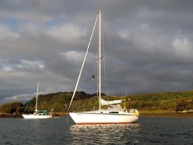Buy 1976 Seamaster 925
