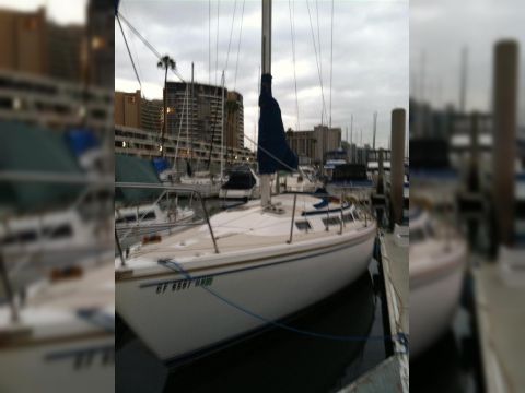 Købe 1984 Catalina Sloop