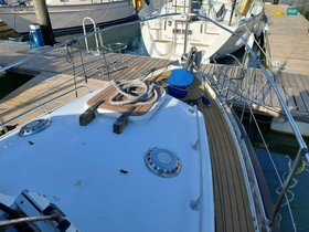 Buy 1977 Nelson 34