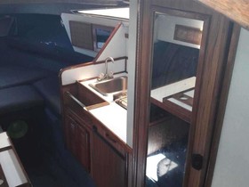 1988 Sea Ray Boats 268 Sundancer