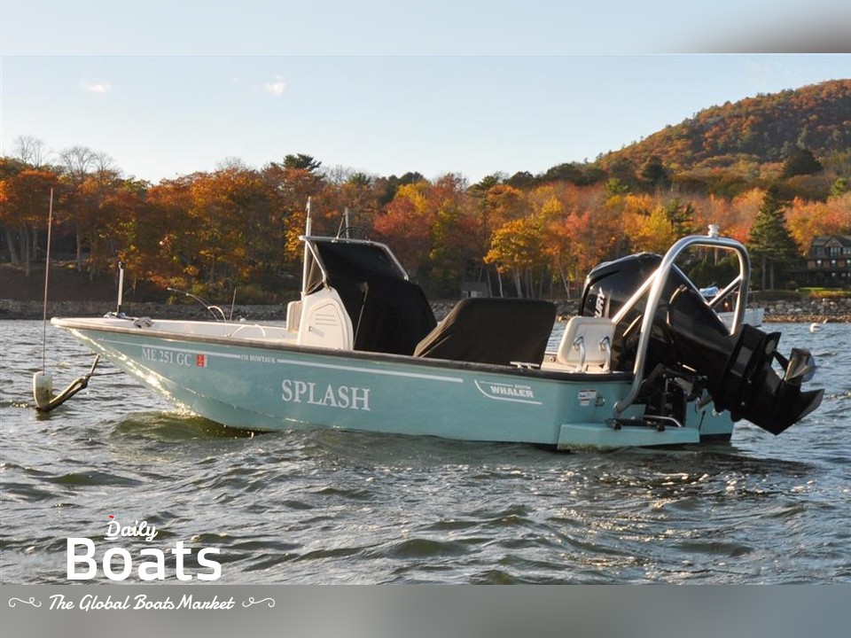 2020 Boston Whaler Boats 170 Montauk for sale. View price, photos and