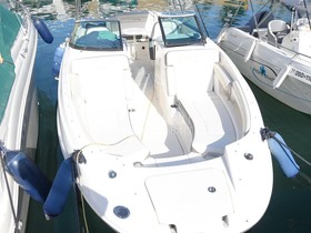 Acheter 2012 Sea Ray Boats 260 Sundeck