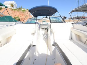 2012 Sea Ray Boats 260 Sundeck te koop