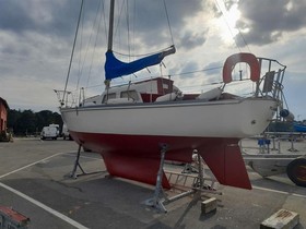 2015 Contest 30 for sale