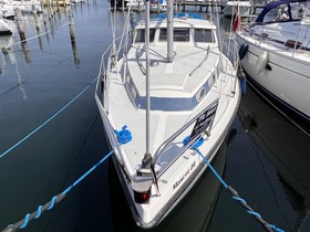 Buy 1984 Mascot 28