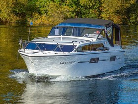 Buy 2021 Viking 300