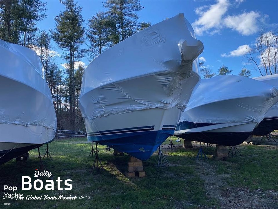 1989 Sea Ray Boats 300 for sale View price photos and Buy 1989 Sea