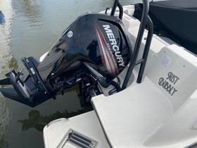 2019 Bayliner Boats Element E21 satın almak