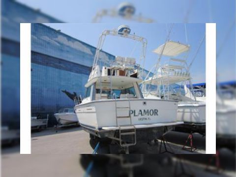 Buy 1991 Tiara 3100
