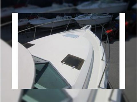 1991 Tiara 3100