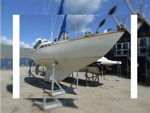 King Cruiser 29