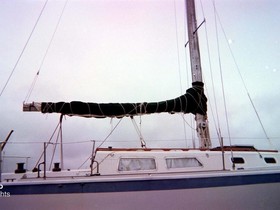 1972 Cal 33